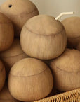 Whole Coconut Straw Cup