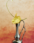 Fortune Gourd Vase